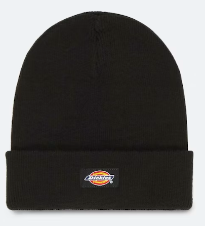 Dickies Gibsland Beanie